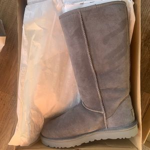 Tall gray classic ugg